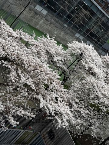 Spring at the Winch